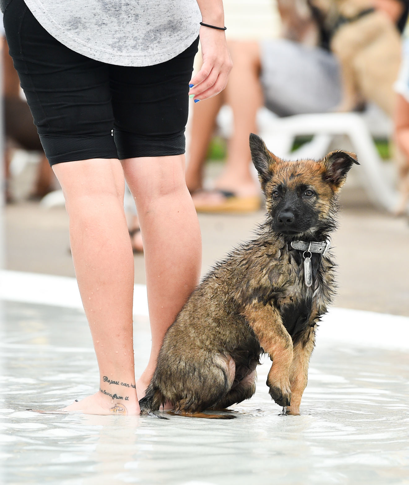 082919-bet-doggysplash-034a.JPG